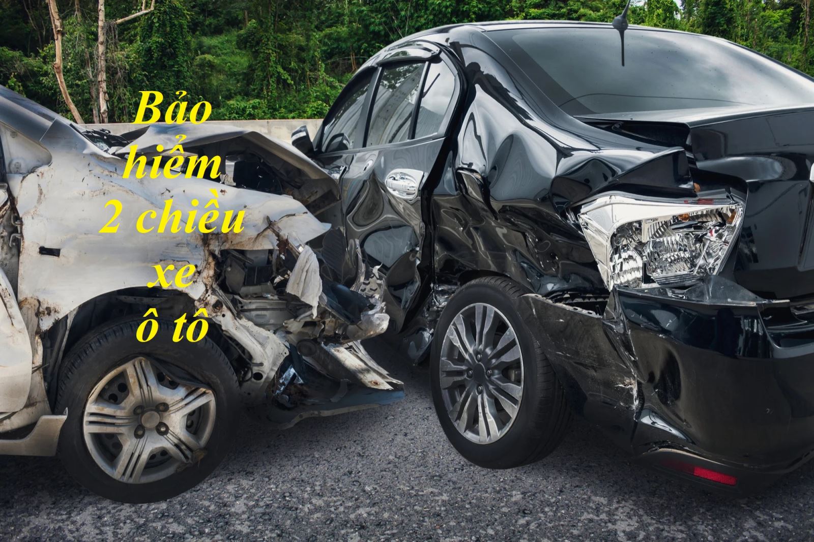 Bảo hiểm 2 chiều xe ô tô